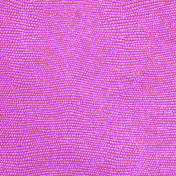 Porte-cartes "Credy" cuir Sand Fuschia