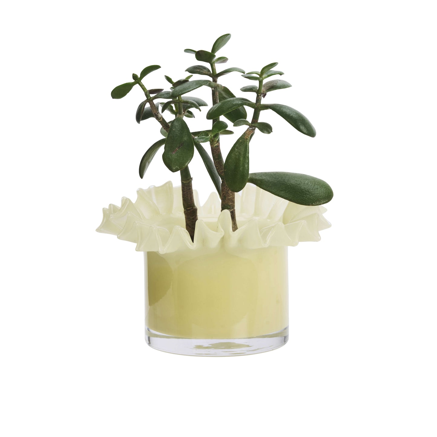 Vase en verre soufflé - Jaune paille