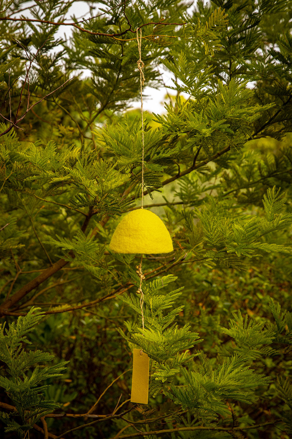 Cloche "Rustic" feutre - Citron