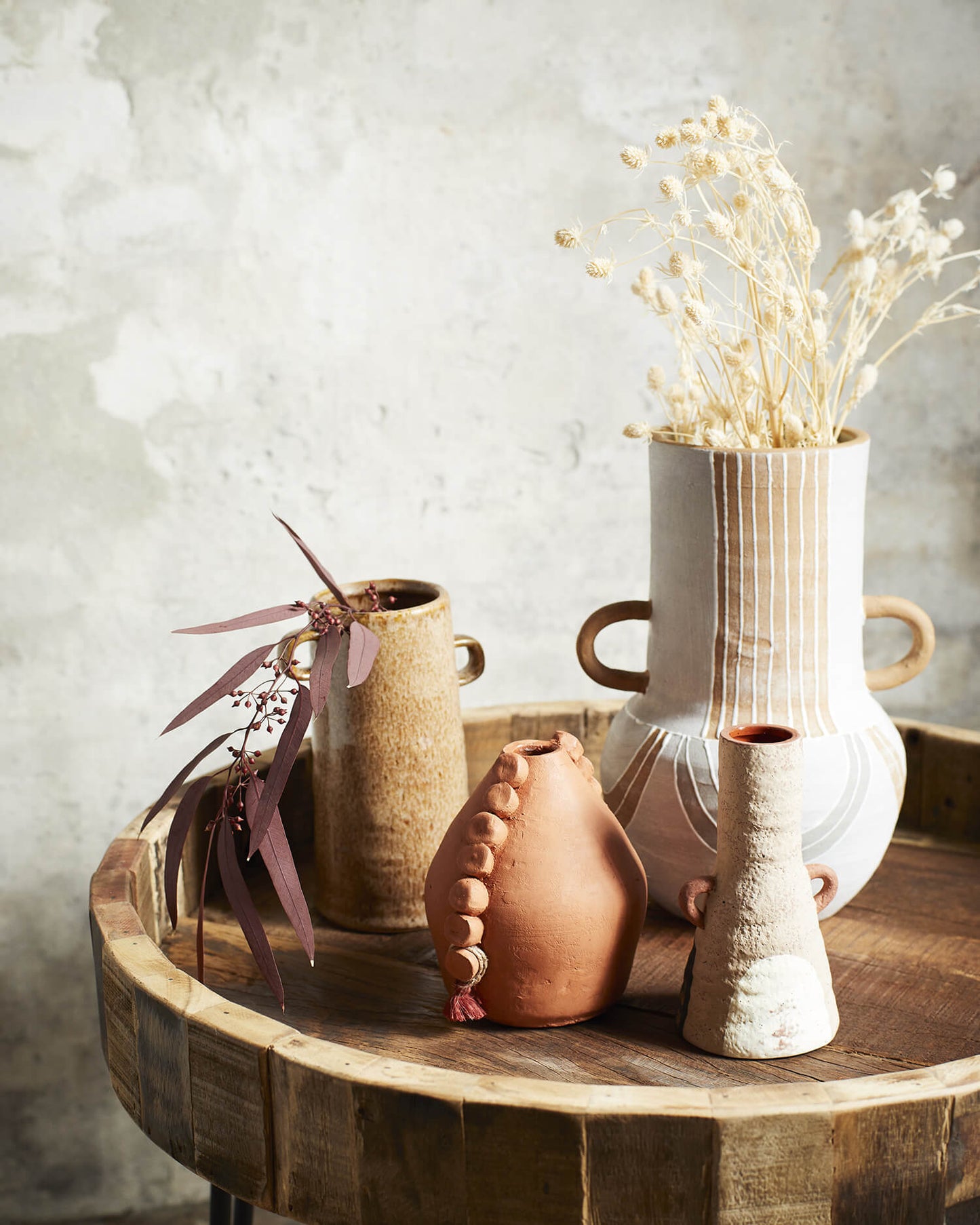 Fleurs séchées - Eryngium planum