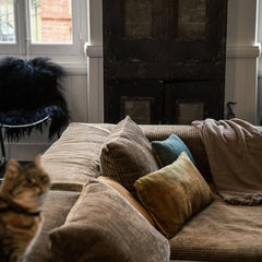 Daybed "Slow" Velours cord Sépia