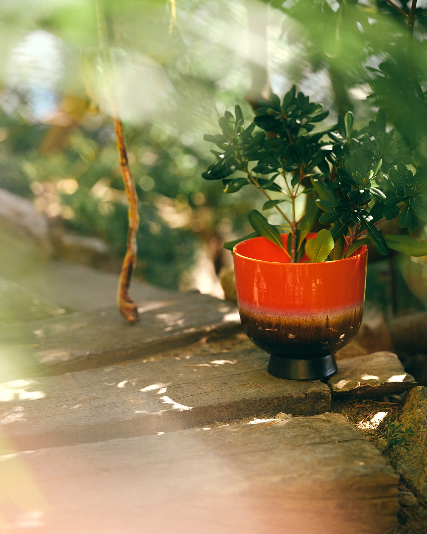 Cache-pot céramique - Cherry